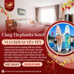 TẾT NÀY, ĐẾN ELEPHANTS HOTEL – VUI CHƠI XUYÊN TẾT
